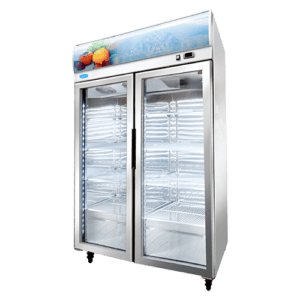 Merchandiser Freezer, 2 Glass Door